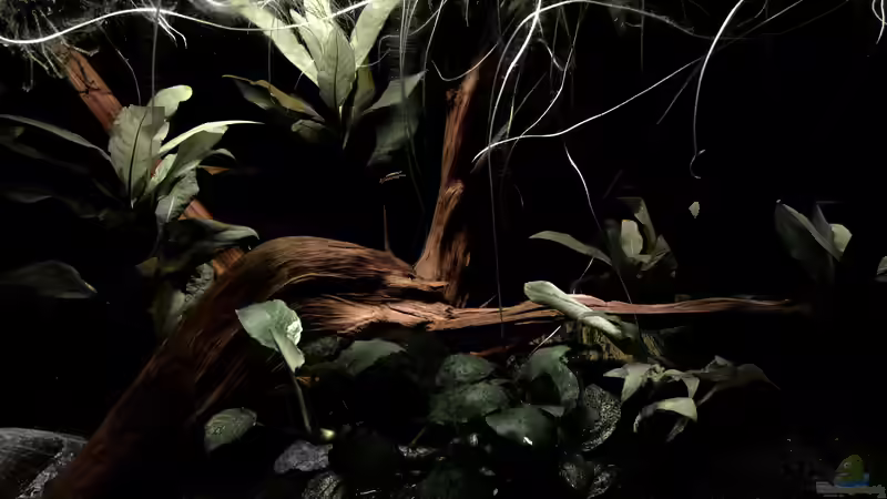 Hauptansicht Hauptansicht