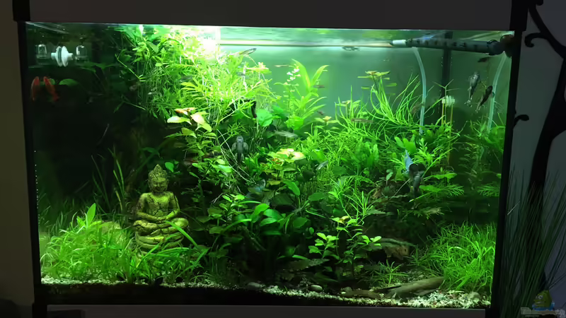 Hauptansicht Hauptansicht