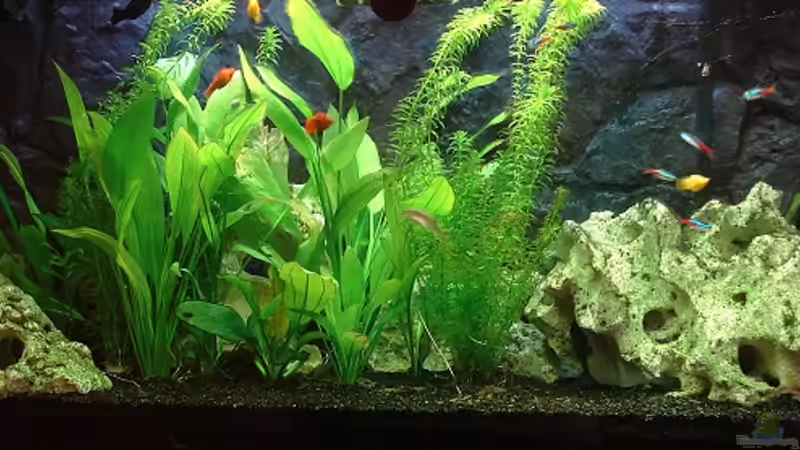 Hauptansicht Hauptansicht