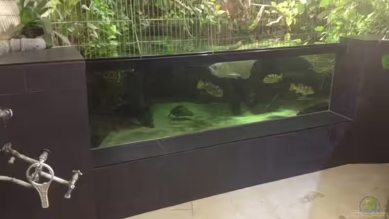 HauptBecken HauptBecken