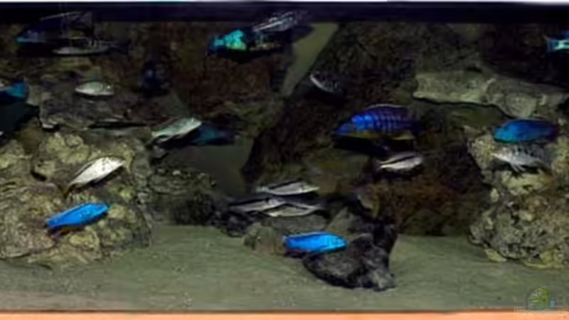 Hauptbecken 1600 Liter Hauptbecken 1600 Liter