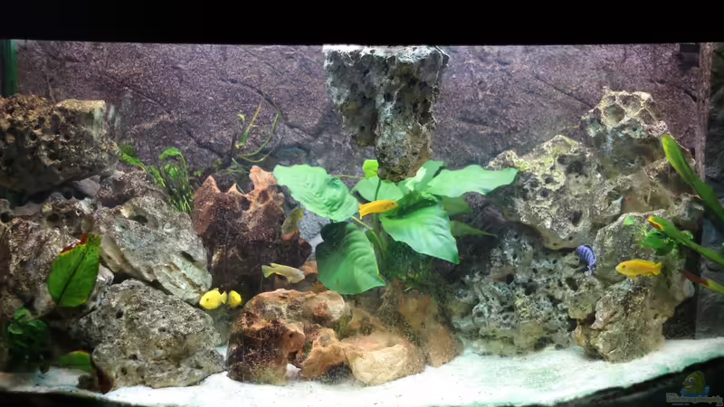 Hauptbecken Hauptbecken