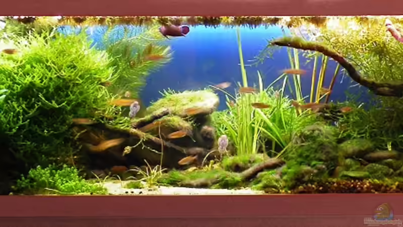 Hauptbild - 09.01.2012 Hauptbild - 09.01.2012