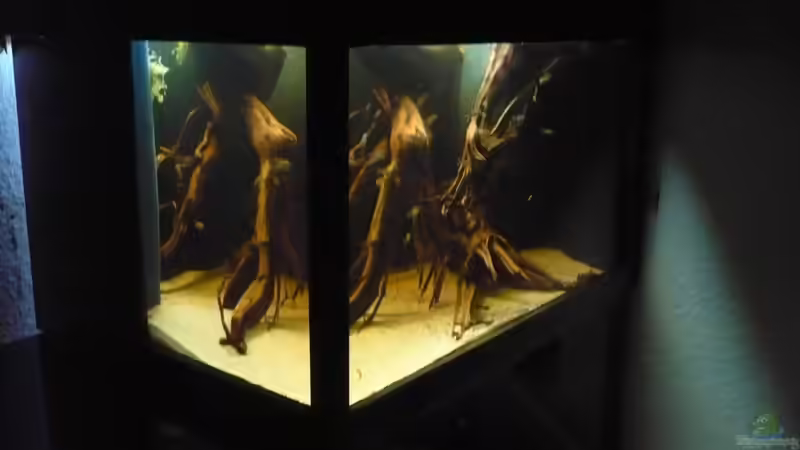 Hauptbild. Ansicht vom Bett aus! Hauptbild. Ansicht vom Bett aus!