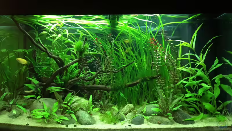 Hauptbild, stand 02.04.2019 Hauptbild, stand 02.04.2019