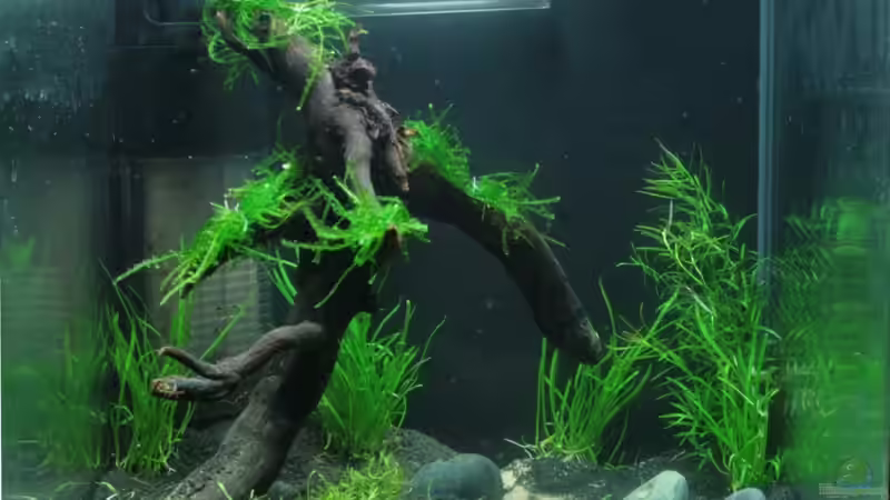 Hauptbild: Tag1 Hauptbild: Tag1