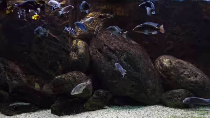 Hauptbild 12.06.2013 Hauptbild 12.06.2013