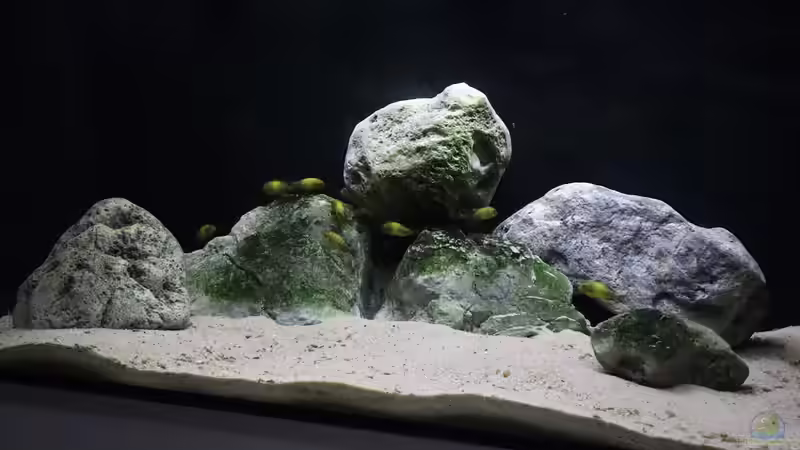 Hauptbild 18.08.2021 Hauptbild 18.08.2021