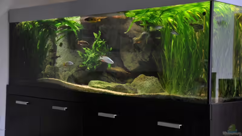 Hauptbild 24.10.2010 Hauptbild 24.10.2010