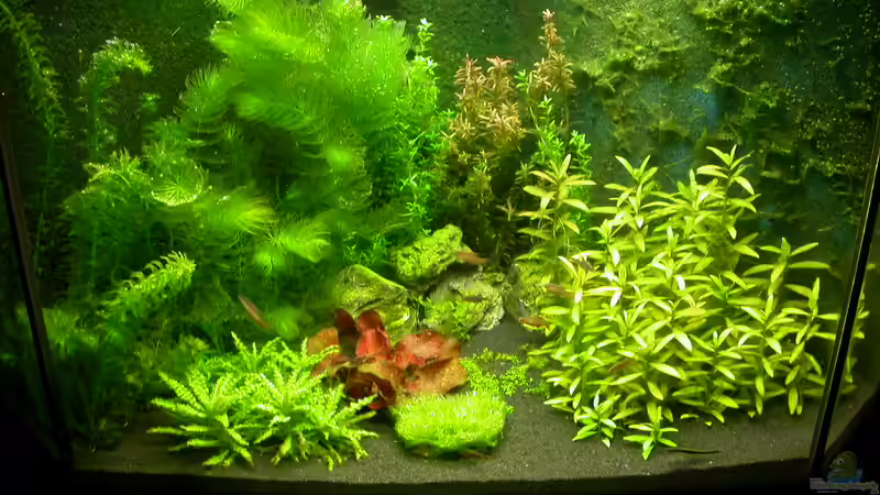 Hauptbild 26.08.2010 Hauptbild 26.08.2010