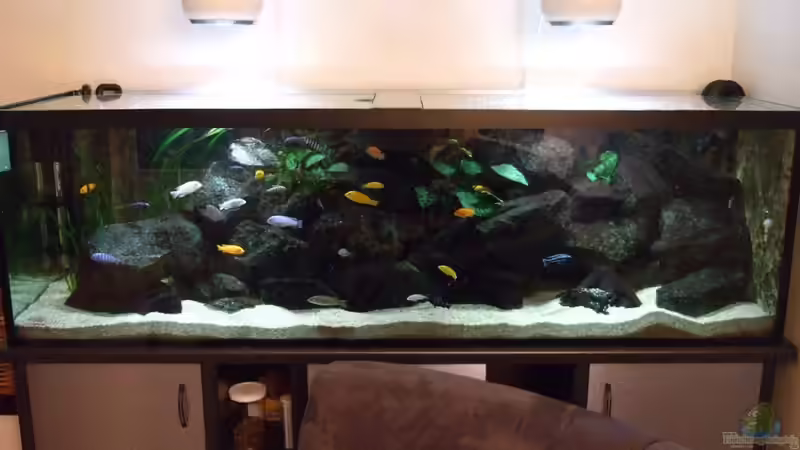 Hauptbild Neu 16.09.2011 Hauptbild Neu 16.09.2011