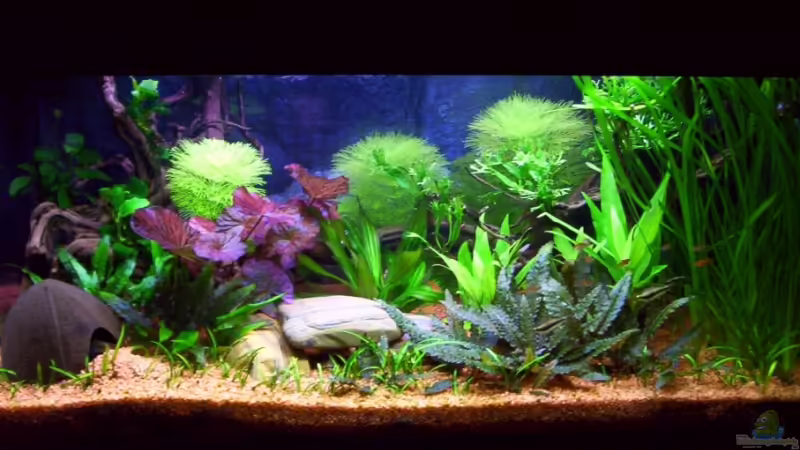 Hauptbild (ohne Blitzlicht fotografiert) Hauptbild (ohne Blitzlicht fotografiert)