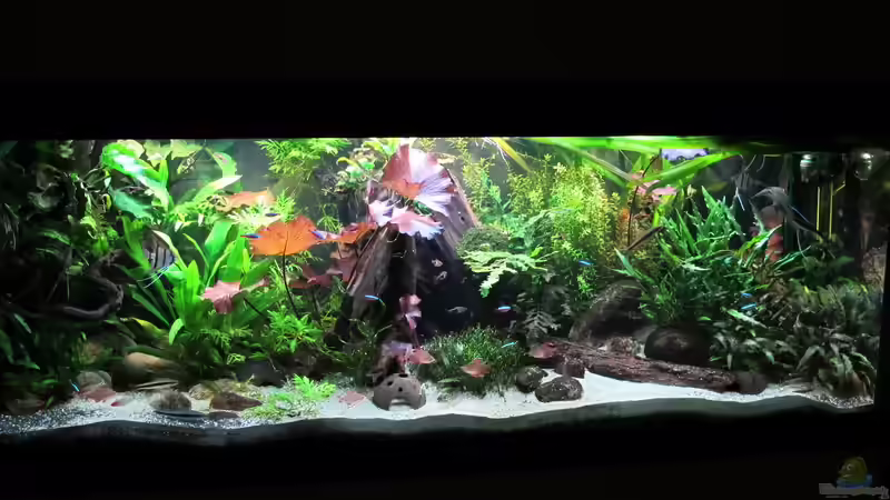 Hauptbild vom 05.03.2015 Hauptbild vom 05.03.2015