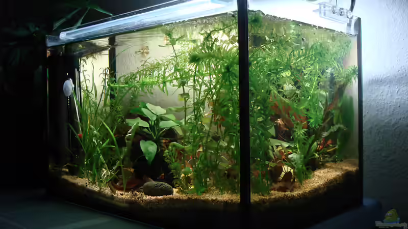 Hauptbild vom 16.4.2013 Hauptbild vom 16.4.2013