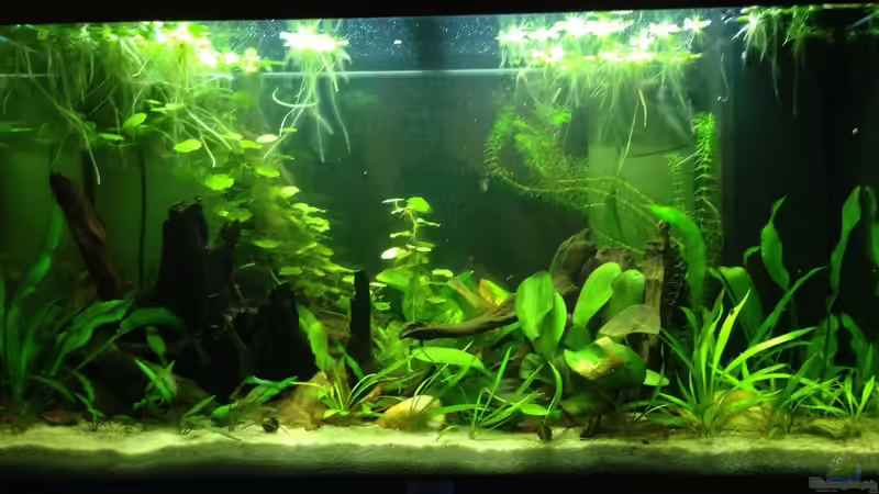 Hauptbild vom 22.02.2017 Hauptbild vom 22.02.2017