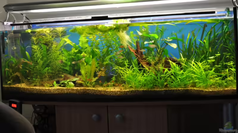 Hauptbild vom 25.03.10 Hauptbild vom 25.03.10