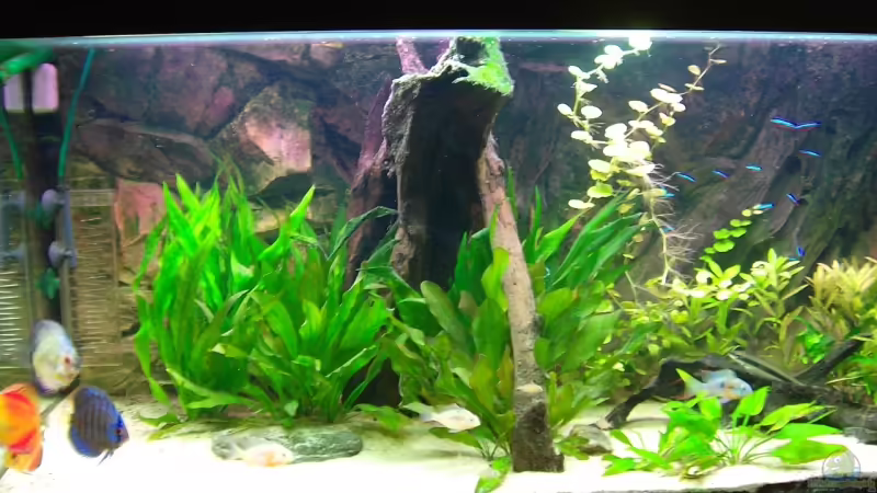 Hauptbild vom 25.09.07 Hauptbild vom 25.09.07