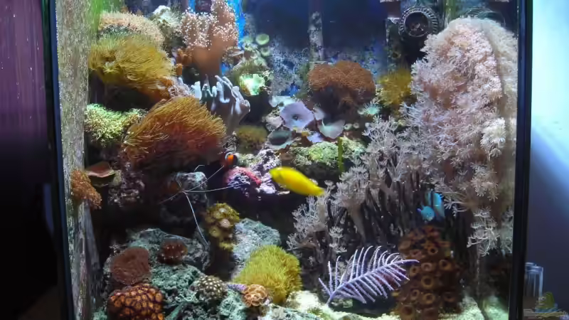 Hauptbild von 24.12.08 Hauptbild von 24.12.08