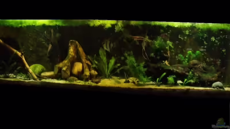 Heimat der Segelflosser Oktober 2014 Heimat der Segelflosser Oktober 2014