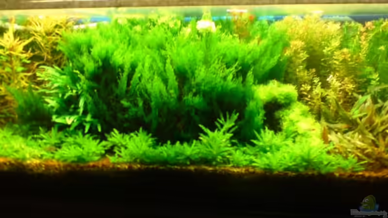 heutiger Stand heutiger Stand