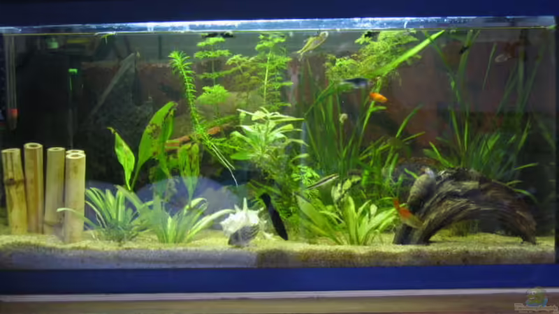 Hier ist mein Becken Hier ist mein Becken