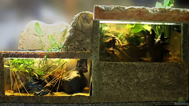 Hier Rückwand noch nicht vollständig besandet Hier Rückwand noch nicht vollständig besandet