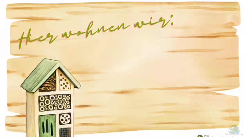Hier wohnen wir - Aus Unordnung wird Lebensraum