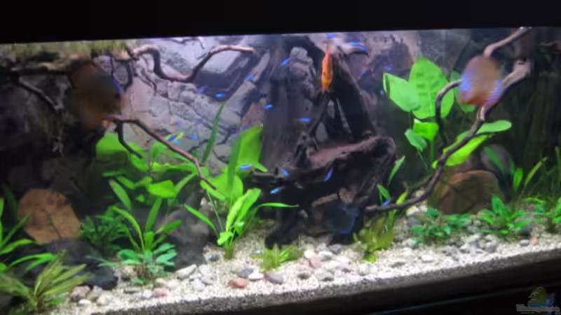 Ich finds toll:-) Ich finds toll:-)