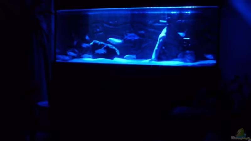 Ich finds toll is klar!;-)) ( Alter Besatz ) Ich finds toll is klar!;-)) ( Alter Besatz )