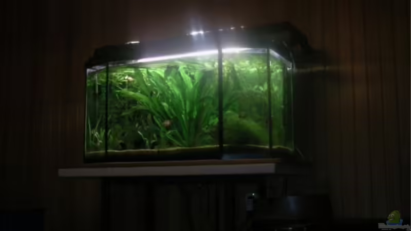 Im Dunkeln ist gut... Im Dunkeln ist gut...