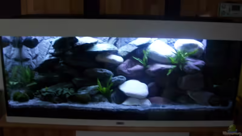 In der Einlaufphase In der Einlaufphase