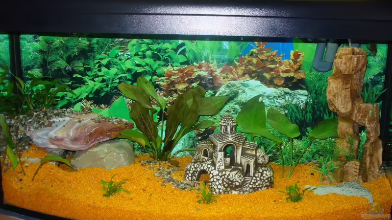 in voller Pracht noch unbewohnt in voller Pracht noch unbewohnt