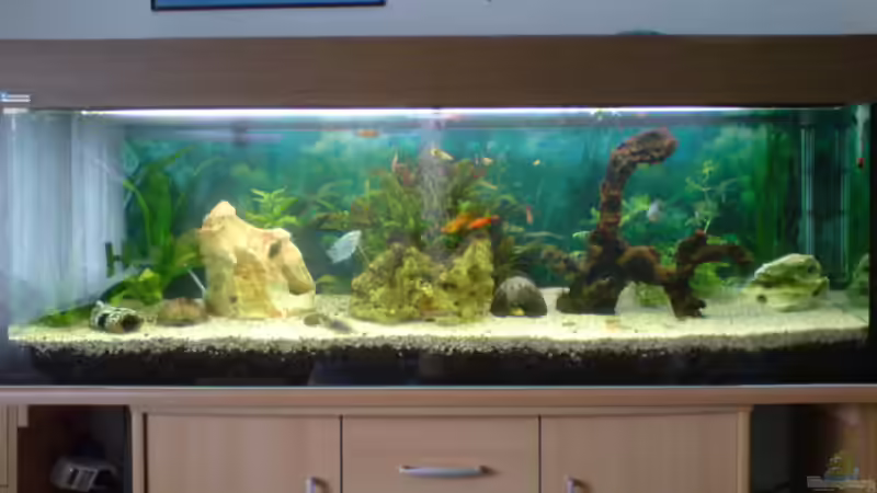 is nur mit dem handy gemacht. will noch warten bis die bepflanzung besser is dan leih ich mir ne digicam is nur mit dem handy gemacht. will noch warten bis die bepflanzung besser is dan leih ich mir ne digicam