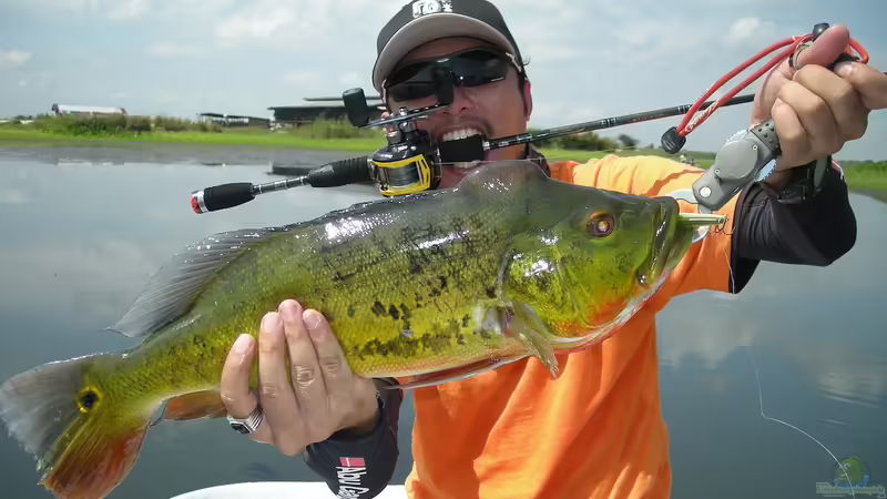 Ist Angeln in Deutschland erlaubt?