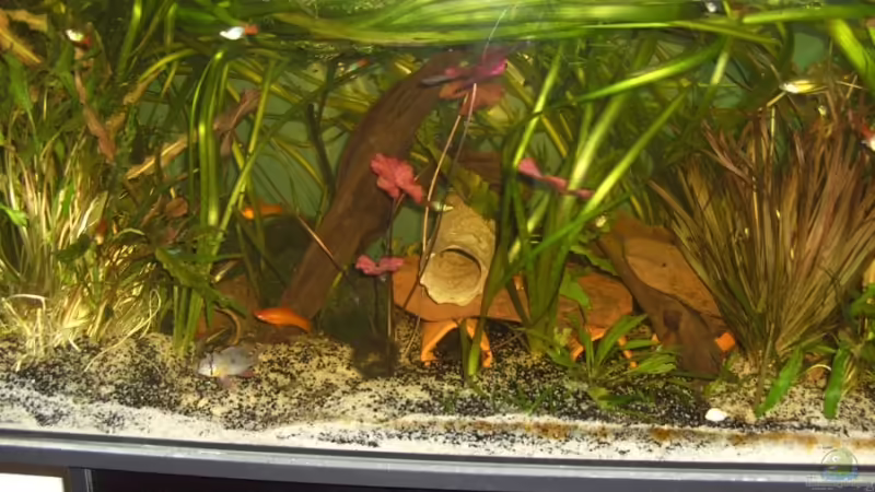 ist ein anderes Becken, muss erst noch eins machen ist ein anderes Becken, muss erst noch eins machen