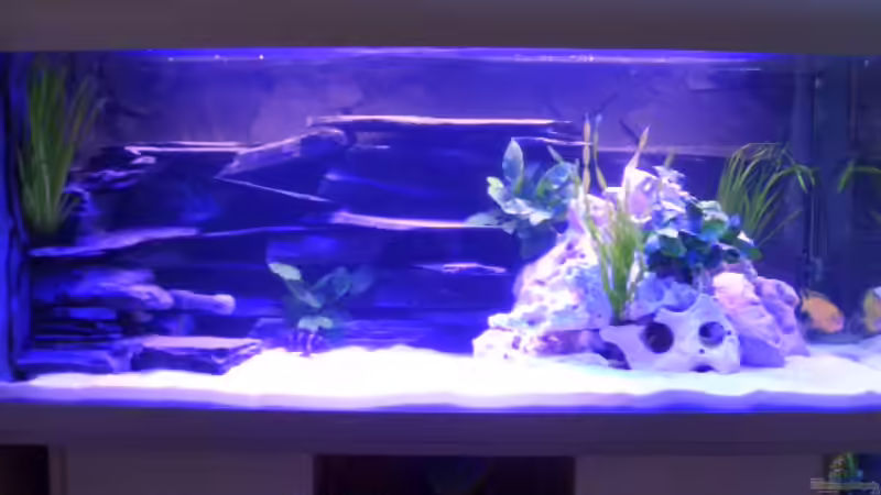 Ist erst wenige Stunden befüllt und daher Trüb Ist erst wenige Stunden befüllt und daher Trüb