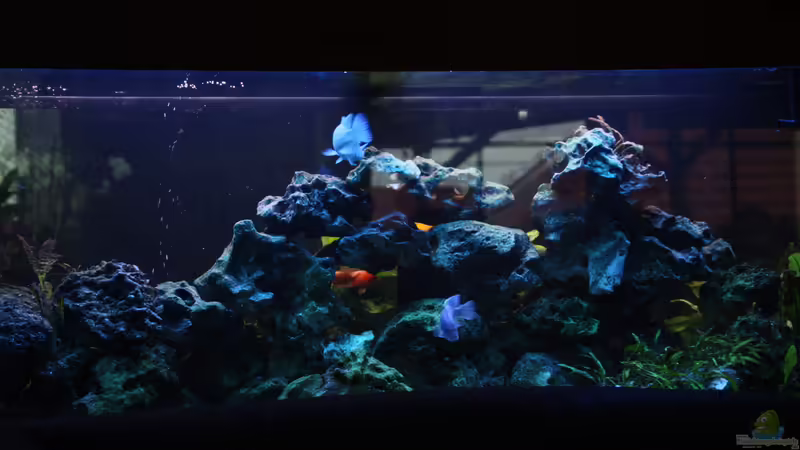 Jahr: 2015 Jahr: 2015