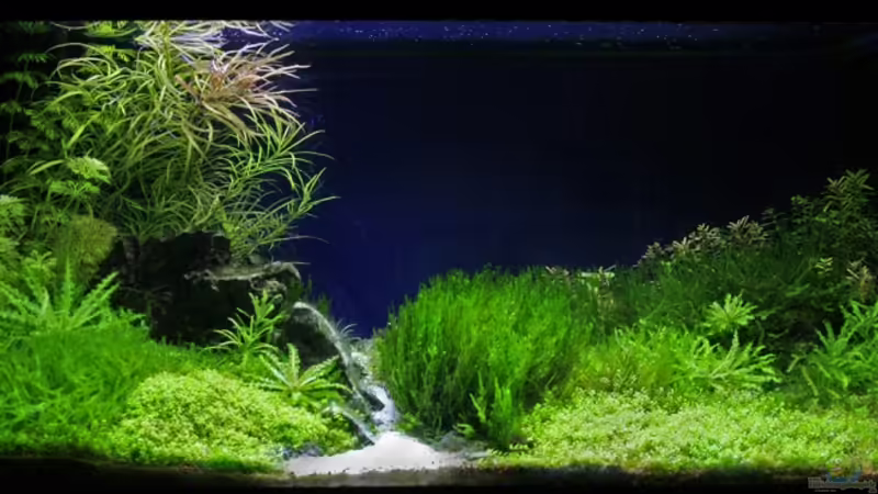 Januar 2009 Januar 2009