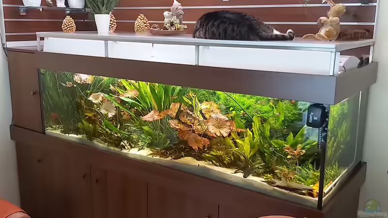 Januar 2020 Januar 2020