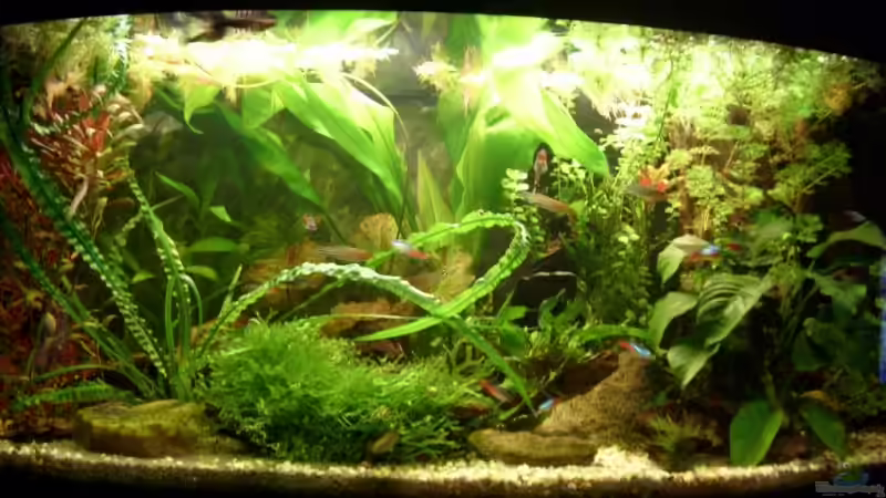 Jetzt noch bis zum Monatsende das schönste Becken wählen! Jetzt noch bis zum Monatsende das schönste Becken wählen!