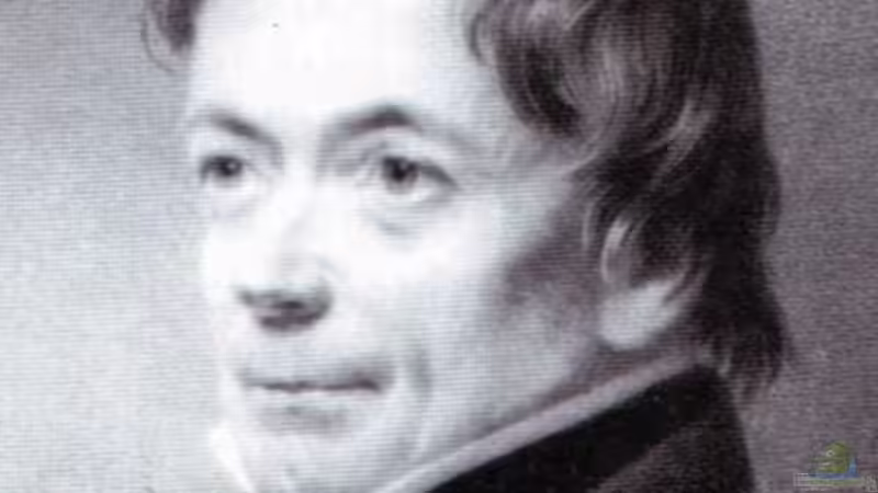 Johann Albrecht Friedrich von Eichhorn - Preußischer Staatsmann mit Verbindung zur Botanik