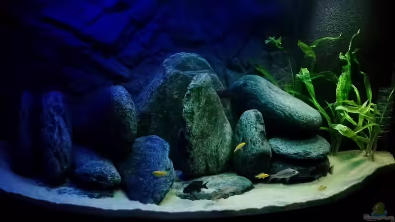 Jugendbecken in der Totalen Jugendbecken in der Totalen