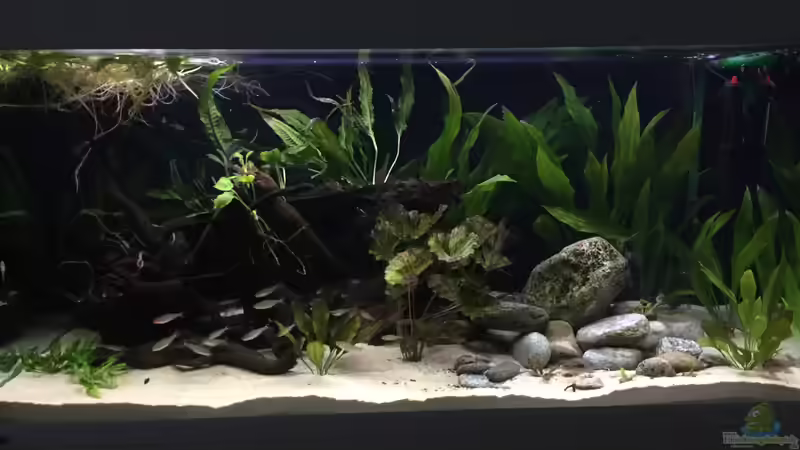 Juli 2017 (mit Rückwandfolie schwarz) Juli 2017 (mit Rückwandfolie schwarz)