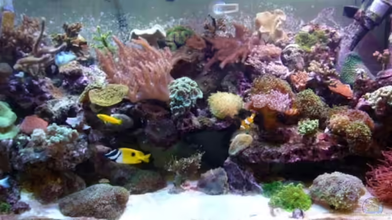 Juni 09 nach genau einem Jahr ;) Juni 09 nach genau einem Jahr ;)