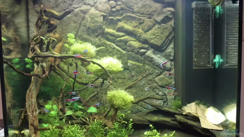 Juwel Lido 120 Juwel Lido 120