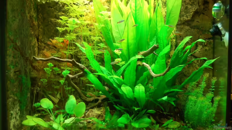 Juwel Lido 120 Hauptbild 09.02.12 Juwel Lido 120 Hauptbild 09.02.12