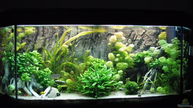 Juwel Panorama 200 Juwel Panorama 200