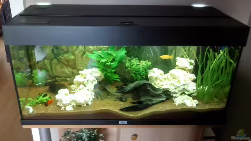 Juwel Rio 180 Juwel Rio 180