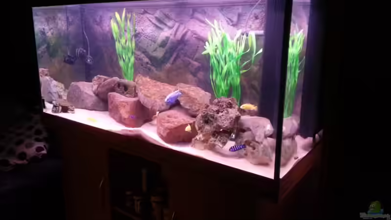 Juwel Rio 300 Juwel Rio 300