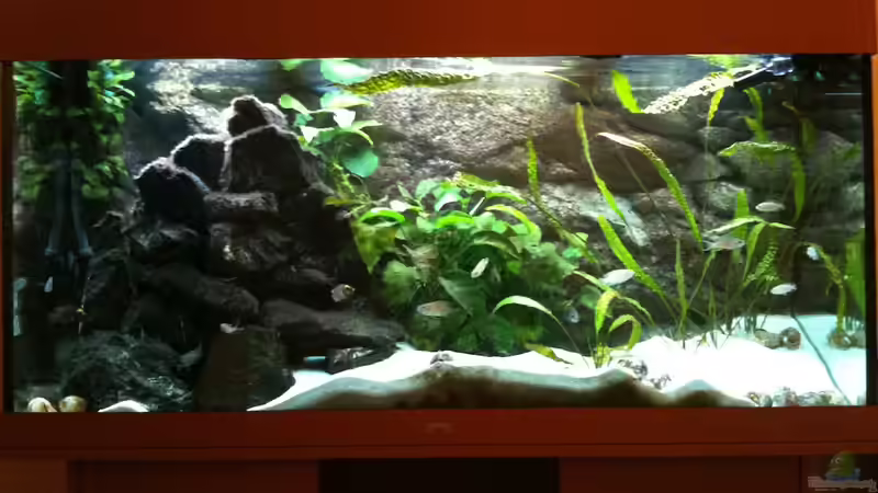 Juwel Rio 300 Juwel Rio 300